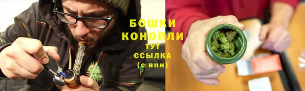мдпв Инта