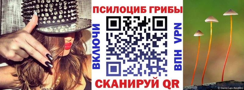 где продают наркотики  Абинск  OMG как войти  Псилоцибиновые грибы мухоморы 